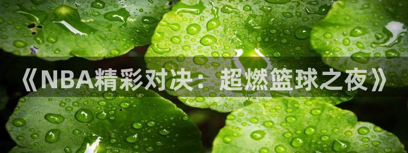 《NBA精彩对决：超燃篮球之夜》