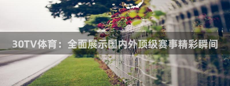 30TV体育：全面展示国内外顶级赛事精彩瞬间
