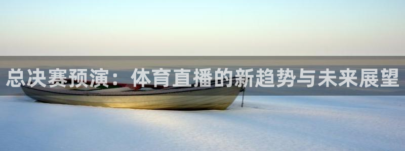 总决赛预演：体育直播的新趋势与未来展望