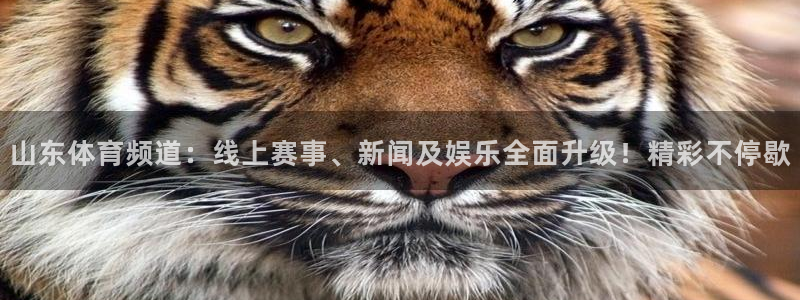 山东体育频道：线上赛事、新闻及娱乐全面升级！精彩不停歇