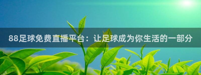 88足球免费直播平台：让足球成为你生活的一部分