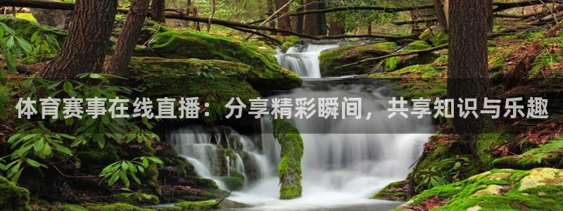 体育赛事在线直播：分享精彩瞬间，共享知识与乐趣