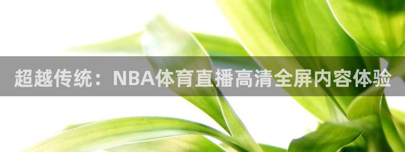 超越传统：NBA体育直播高清全屏内容体验