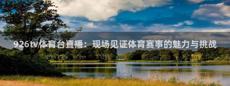 178nba直播现场视频直播：926tv体育台直播：现场见证体育赛事的魅力与挑战