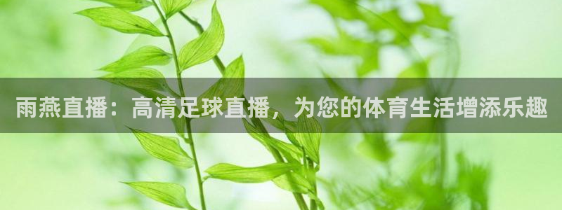 nba一178篮球赛直播：雨燕直播：高清足球直播，为您的体育生活增添乐趣