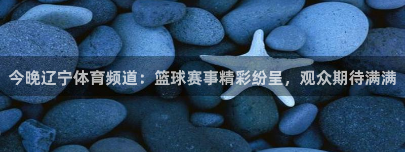 178篮球直播在线直播观看免费：今晚辽宁体育频道：篮球赛事精彩纷呈，观众期待满满