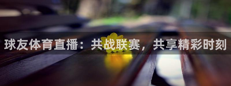 178nba赛程直播：球友体育直播：共战联赛，共享精彩时刻