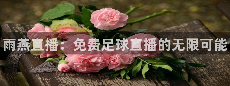 178篮球免费直播nba：雨燕直播：免费足球直播的无限可能