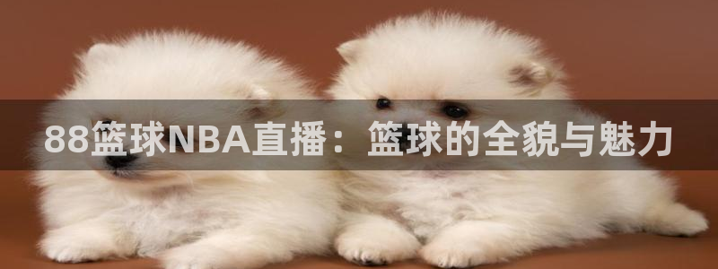 178直播体育app下载：88篮球NBA直播：篮球的全貌与魅力