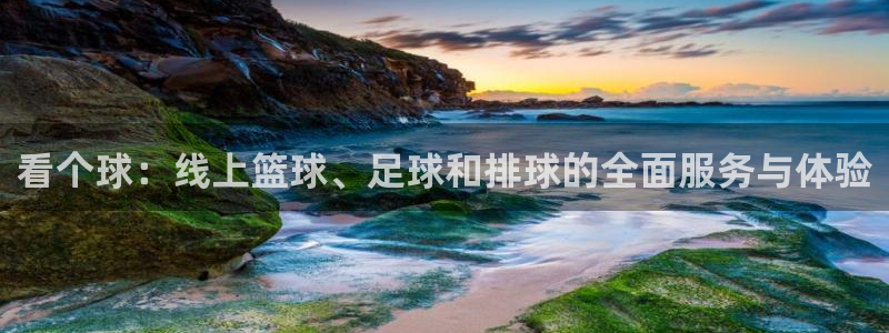看个球：线上篮球、足球和排球的全面服务与体验